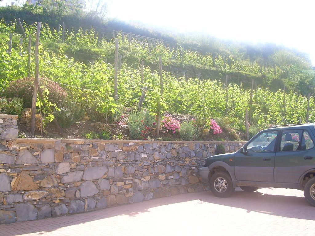 Ariabuona Apartment Moneglia Exterior foto